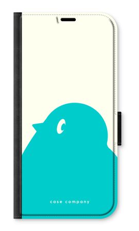 BIG Robin 1