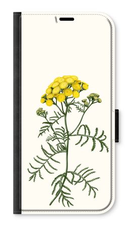 Tansy