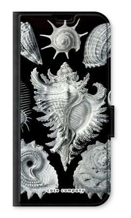 Haeckel Prosobranchia