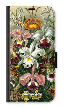 Haeckel Orchidae