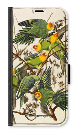 Carolina Parrot