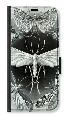 Haeckel Tineida