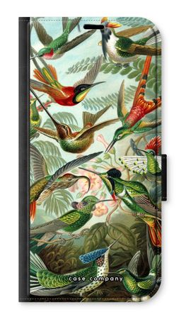 Haeckel Trochilidae