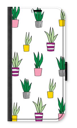 Sanseveria
