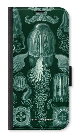 Haeckel Cubomedusae