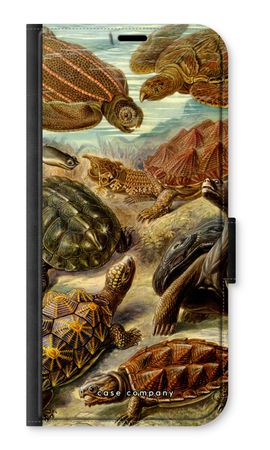 Haeckel Chelonia