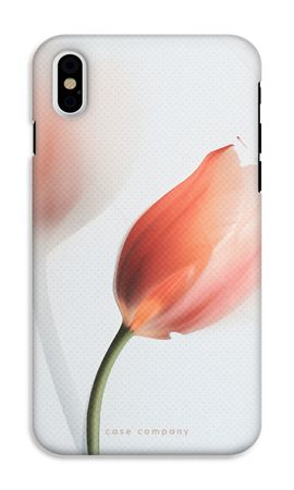 Tulip
