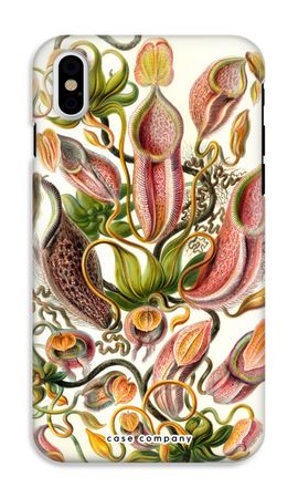 Haeckel Nepenthaceae