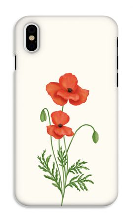 Red poppy