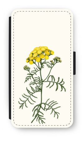 Tansy