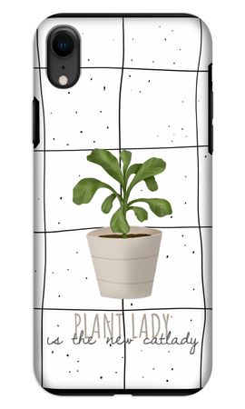 Houseplant on windowpane