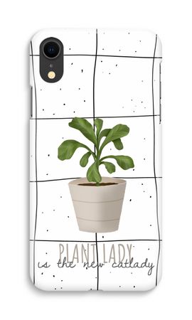 Houseplant on windowpane