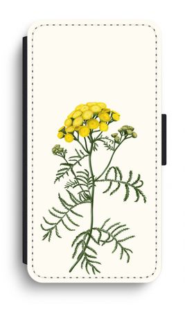 Tansy