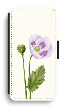 Purple poppy