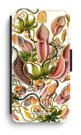 Haeckel Nepenthaceae