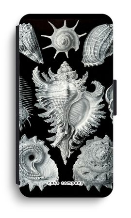 Haeckel Prosobranchia