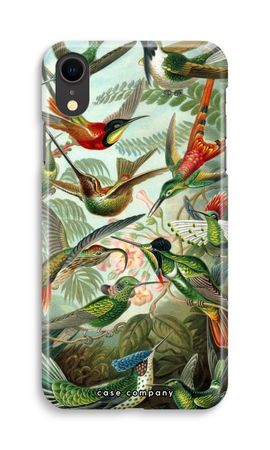 Haeckel Trochilidae