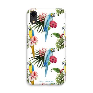 Colourful parrots