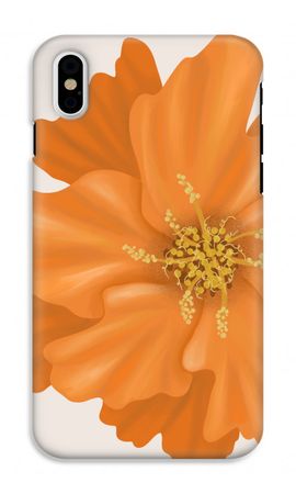 Orange Ellila flower