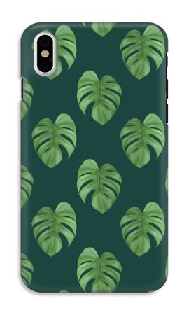 Monstera leaves