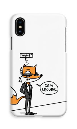 GSM secure