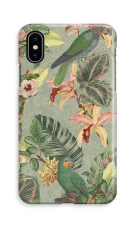 Tropical jungle parrot