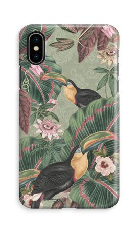 Tropical jungle toucan