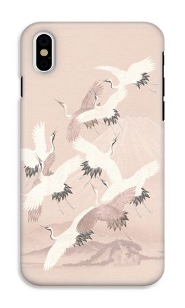 Japanese Crane Birds