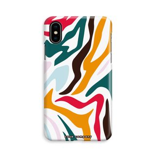 Colored Zebra