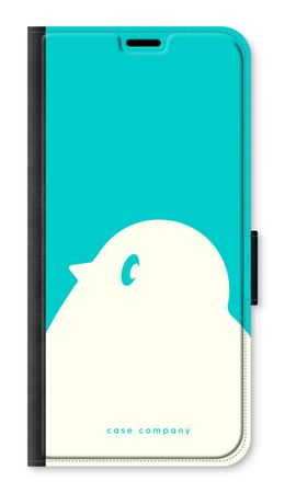 BIG Robin 2