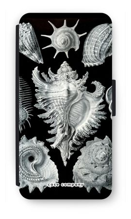 Haeckel Prosobranchia