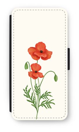 Red poppy