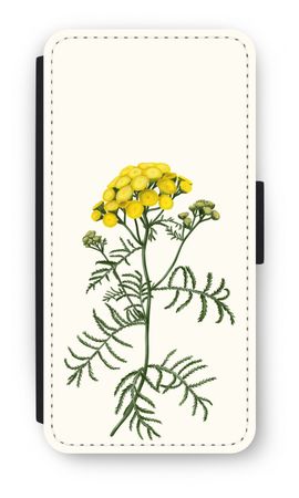Tansy