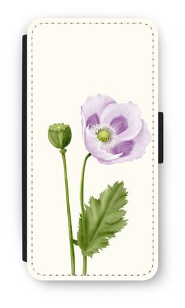 Purple poppy