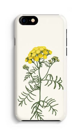 Tansy