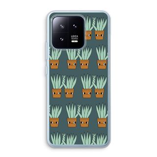 Sansevieria