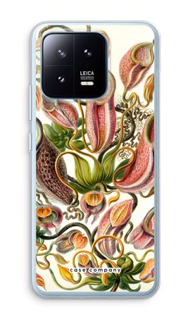 Haeckel Nepenthaceae