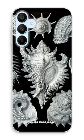 Haeckel Prosobranchia