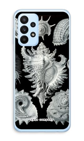 Haeckel Prosobranchia
