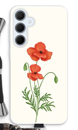 Red poppy