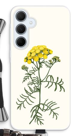 Tansy