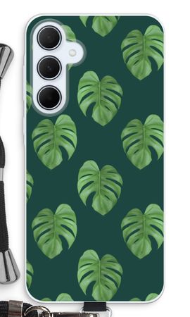 Monstera leaves