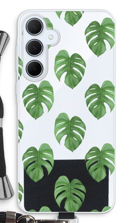 Monstera leaves