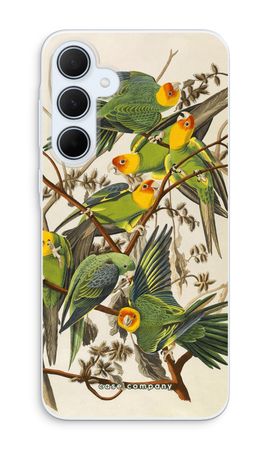 Carolina Parrot