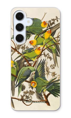 Carolina Parrot