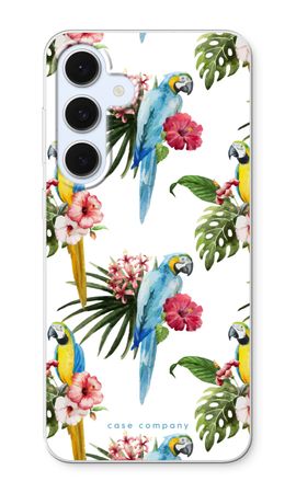 Colourful parrots