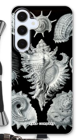 Haeckel Prosobranchia