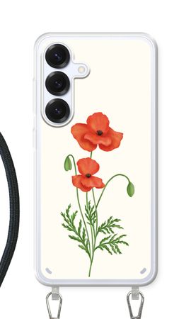 Red poppy