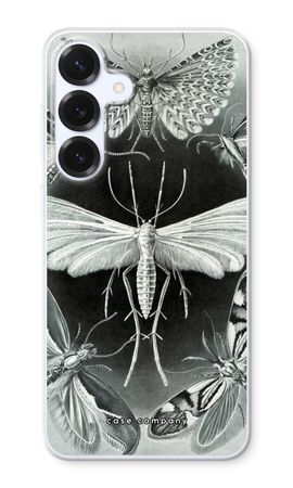 Haeckel Tineida