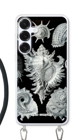 Haeckel Prosobranchia